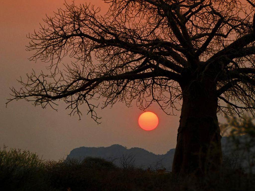 Madi A Thavha Mountain Lodge Louis Trichardt Buitenkant foto